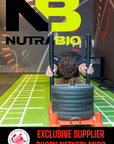 NB WHEY ISOLATE - STRAWBERRY ICE CREAM