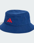 FRANCE BUCKETHEAD