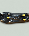 PHOENIX PRO 2.0 SG