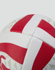 Canterbury BRITISH & IRISH LIONS MENTRE SPONSOR BALL