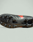 MONARCIDA NEO III FG JR