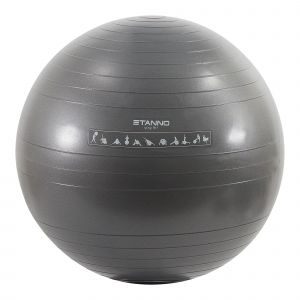 STANNO EXERCISE BALL